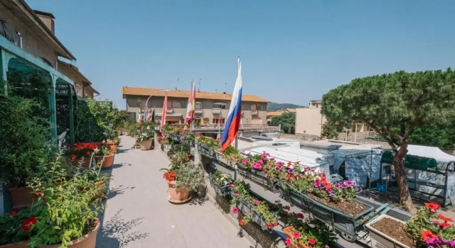 Номер Standard Hotel Cala Di Forno