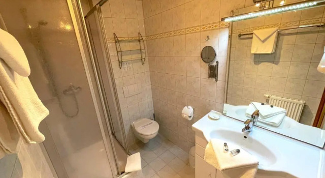 Одноместный номер Standard Land- und Aktivhotel Altmühlaue