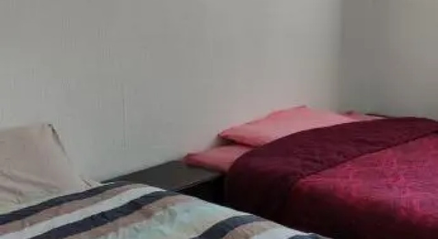Трёхместный номер Economy Toad Hall Hostel