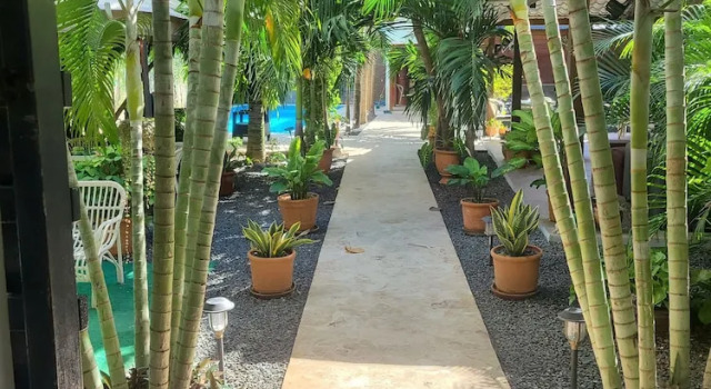 Одноместный номер Standard Green Oasis Hotel