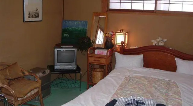 Двухместный номер Standard Onsen Inn 36So