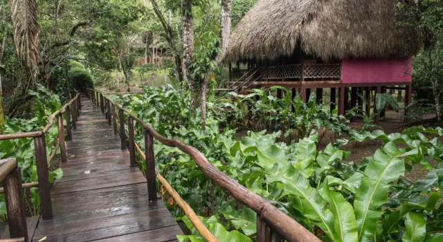 Четырёхместный номер Standard Las Guacamayas Lodge, Selva Lacandona, Chiapas México