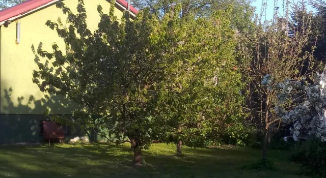 Апартаменты Domki nad Morzem "Dom Turysty MAG"
