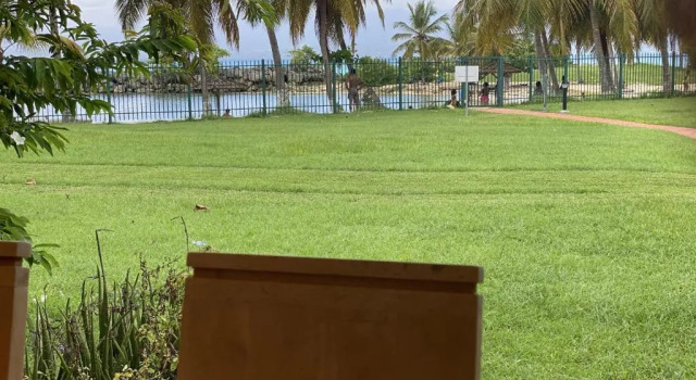 T3 Marisol les pieds dans l eau N 1611, Varaa Hotelli Hotellit Grande-Terre uima-altaalla, Uima-allas