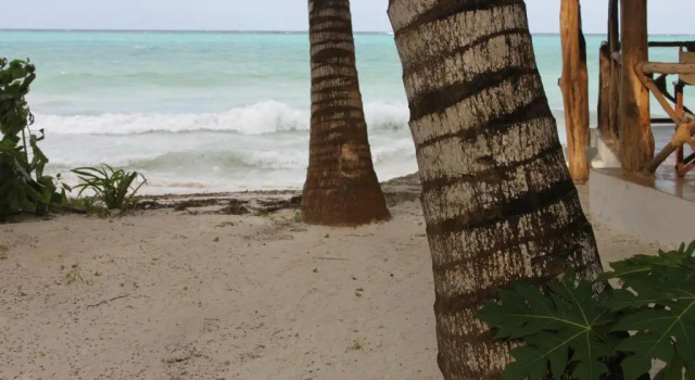 Семейный номер Standard с видом на море Panga Chumvi Beach Resort