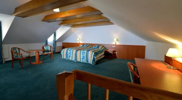 Номер Standard Hotel Dvorak