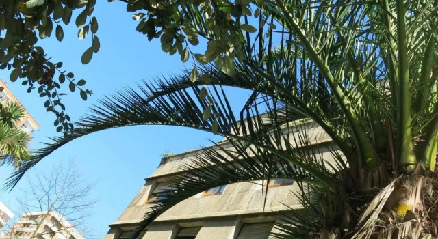 Maravillosa vivienda uso turistico con Parking VUT 921 AS, Забронировать Отель Овьедо Астурия, рядом с Статуя Вуди Аллена