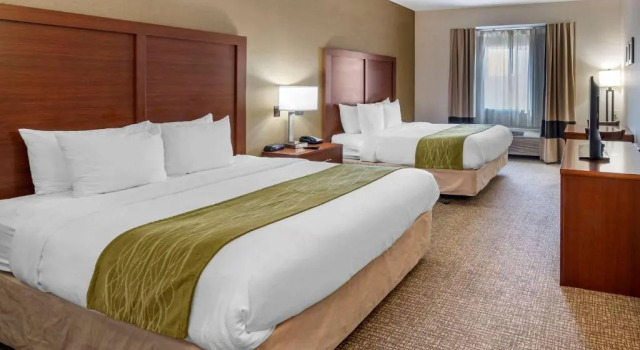 Четырёхместный номер Superior THE ATRIUM HOTEL SFO AIRPORT