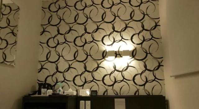 Одноместный номер Economy Ueno First City Hotel