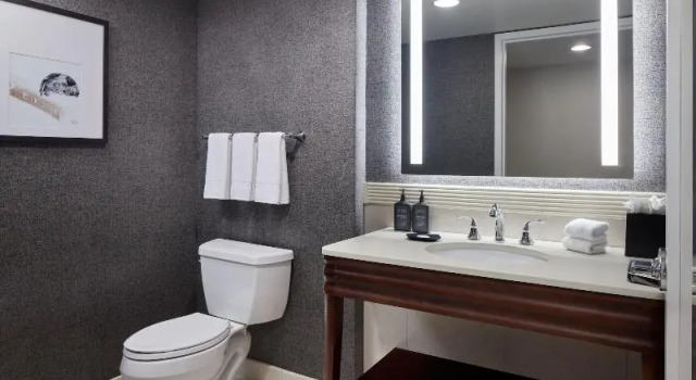 Номер Standard с красивым видом из окна Sheraton Valley Forge King of Prussia