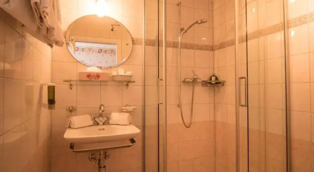Одноместный номер Historic Hotel Falken
