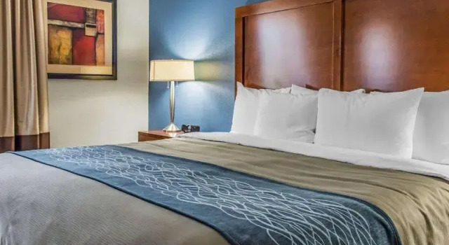 Номер Business Quality Inn Belle Vernon
