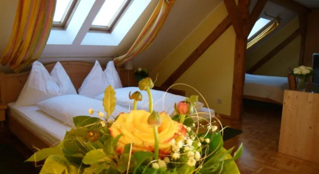 Номер Standard Hotel Fischachstubn