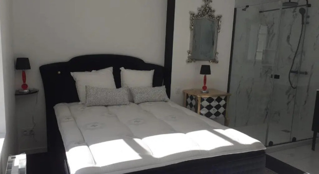 Appartement OH! Duc de Sully