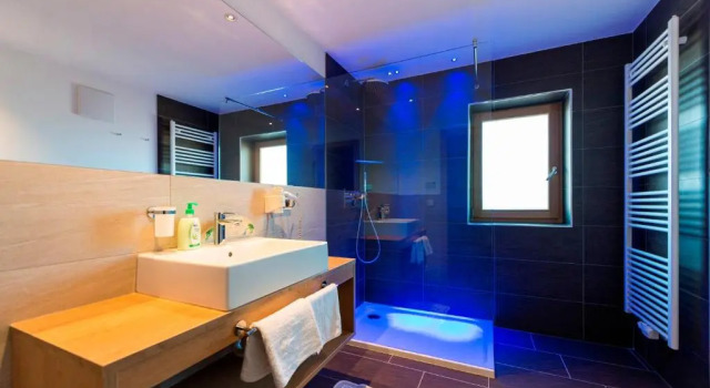 Двухместный номер Comfort Hotel Alpenfrieden