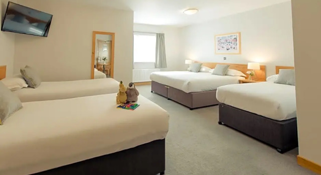 Номер Executive Waterford Viking Hotel