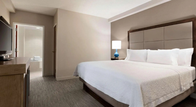Двухместный люкс Hampton Inn Long Island-Brookhaven