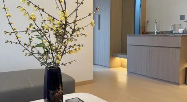 Люкс Luxury Huiyin Mountain Residence Homestay (Jing County Urban Area)