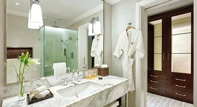 Номер Standard с видом на бассейн Taj Connemara, Chennai