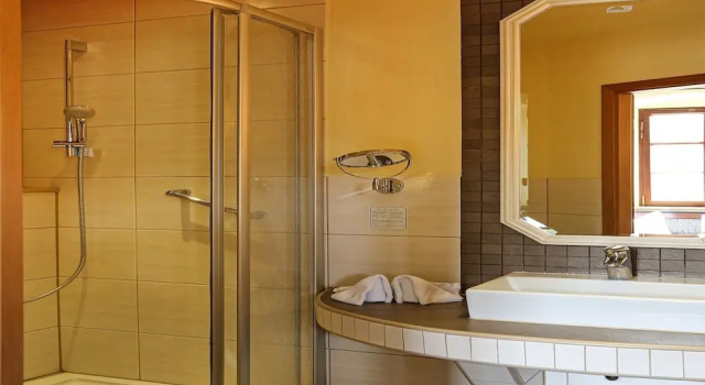 Одноместный номер Economy Landhotel Thürmchen
