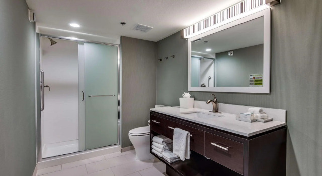 Двухместный люкс Home2 Suites by Hilton DFW Airport South Irving