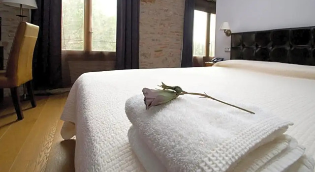Номер Standard Hotel Moli De La Torre