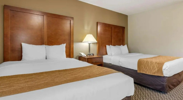 Номер Standard Comfort Inn Indianapolis South
