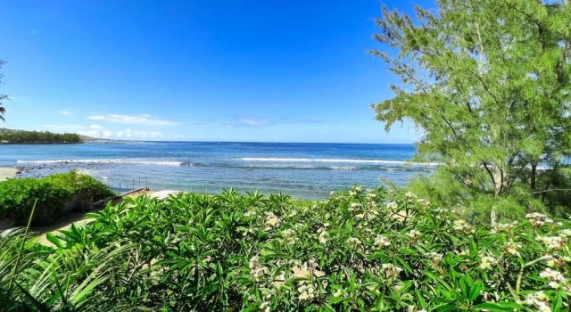 Апартаменты c 1 комнатой Le Pétrel Bleu - Appartement sur la plage des Tortues à Saint-Leu