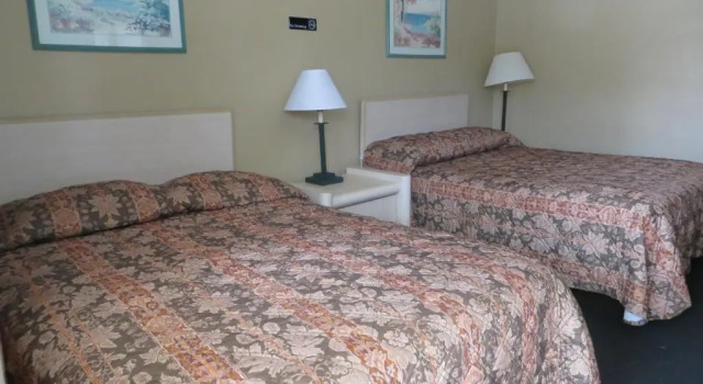 Четырёхместный номер Standard Country Lodge