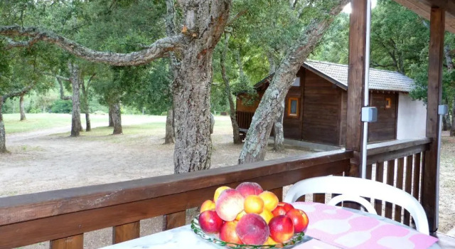 Шале с 2 комнатами In Tavignanu