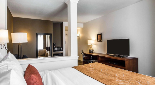 Двухместный люкс Comfort Suites Woodland - Sacramento Airport
