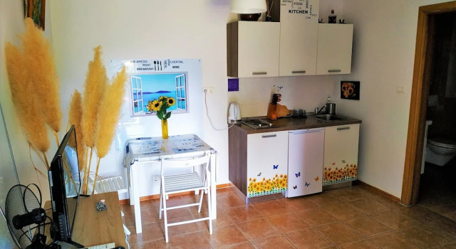 Студия Comfort с балконом и с частичным видом на море Holiday Home Kaic