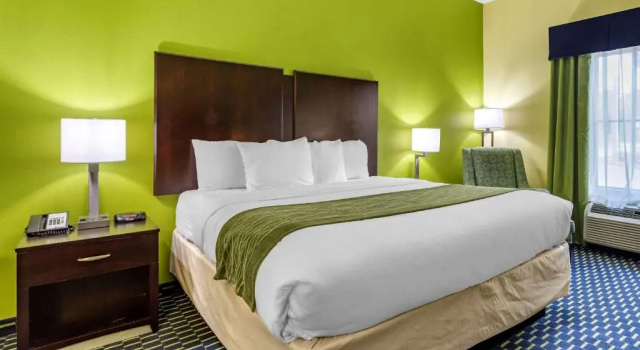 Номер Standard Comfort Inn Athens I - 75