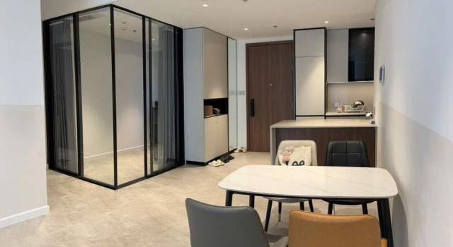 Апартаменты Premier c 1 комнатой с балконом DongDong Apartment The Metropole