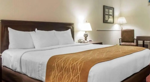 Двухместный номер Standard Canberra Premiere Comfort Hotel