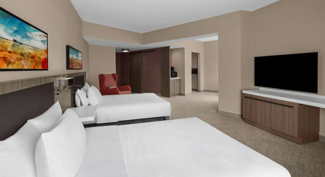 Номер Deluxe Hilton Garden Inn Grand Prairie At EpicCentral