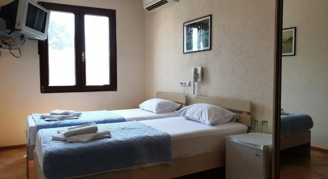 Двухместный номер Standard Hotel Pelikan