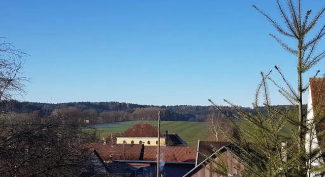 Номер Deluxe Gästehaus Staudenschloss