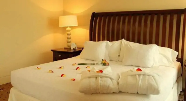 Одноместный номер Superior Hotel Torremayor Lyon