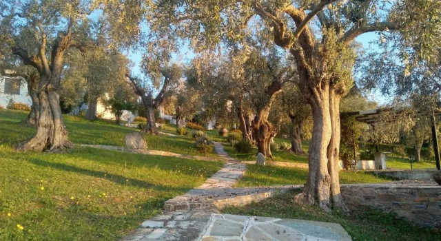 Коттедж с 2 комнатами Saint Andrews Bay