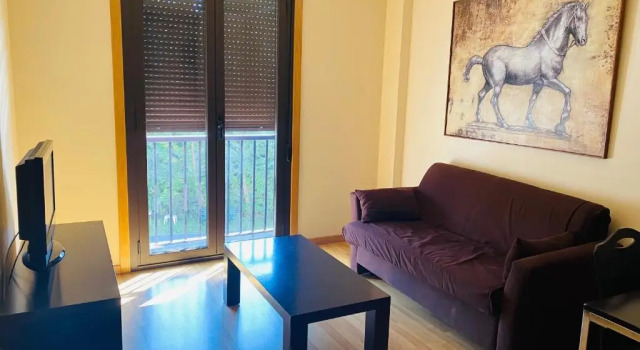 Апартаменты Hotel AV Apartamentos Lobios