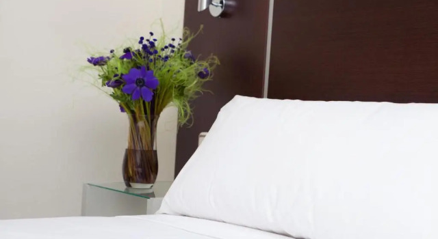 Одноместный номер Standard Hotel Los Girasoles by Maxi Hoteles