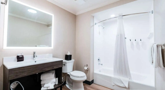 Двухместный люкс Hotel NoBo Cascade, Tapestry Collection by Hilton