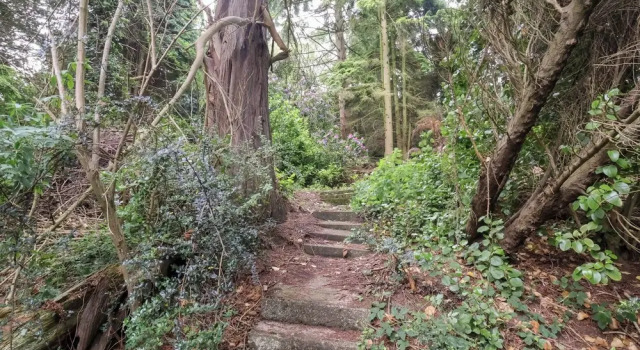 Коттедж Raincliffe Manor