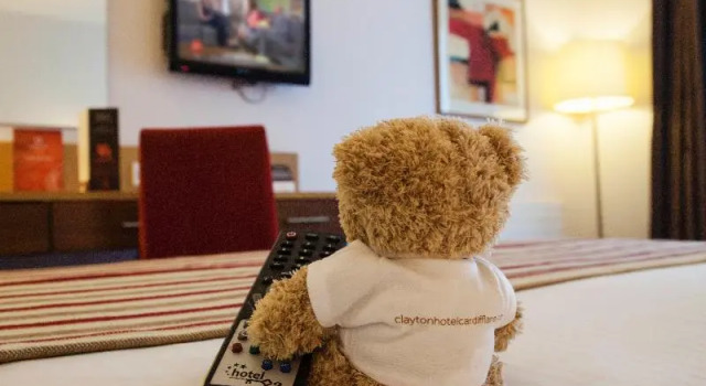 Одноместный номер Standard Clayton Hotel Cardiff Lane