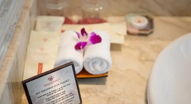 Одноместный номер Superior Hanoi E Central Luxury Hotel