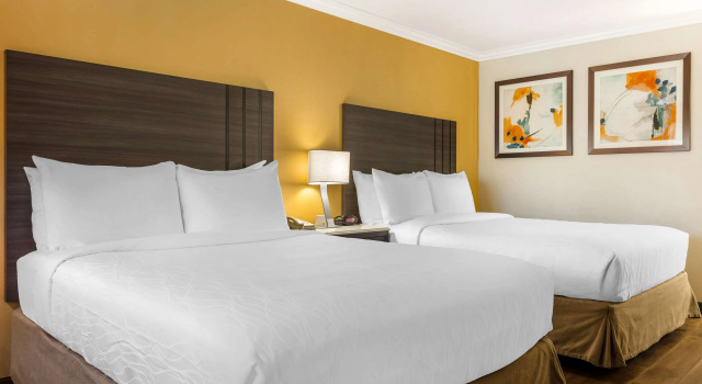 Четырёхместный номер Standard Best Western Plus Orange County Airport North
