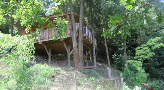 Коттедж La Cabane aux Sapins