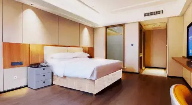 Люкс Business Vienna Hotel (Bijie Chuangmei)