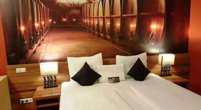 Supérieure studio Hotel Süd Graz